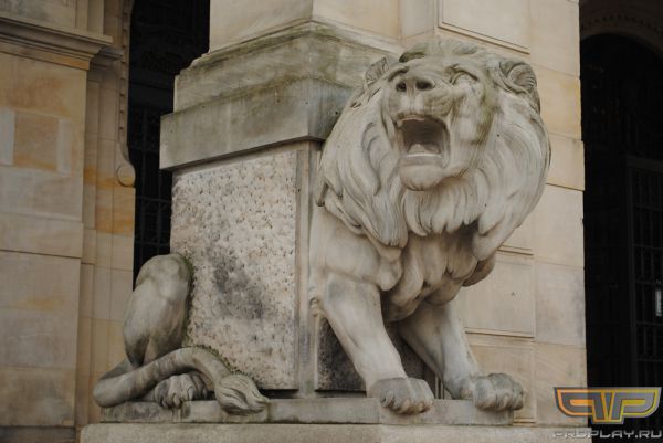 ���� ���������