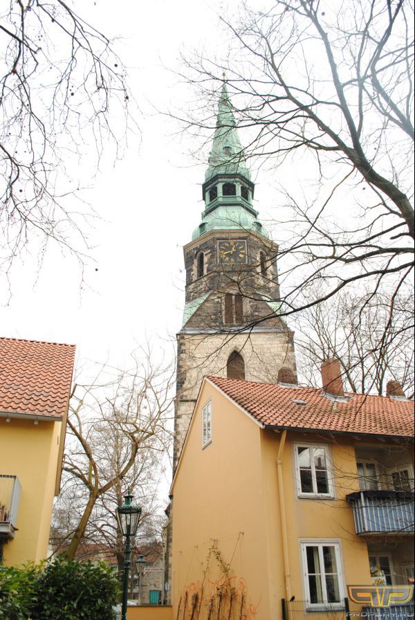 ���� ���������