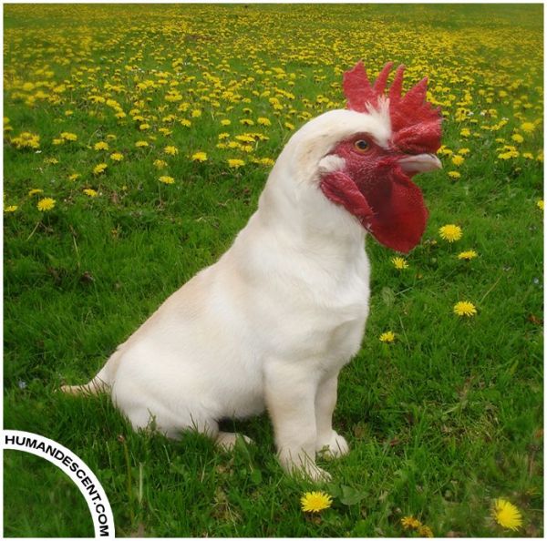 [�� �������]