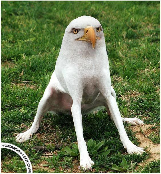 [�� �������]