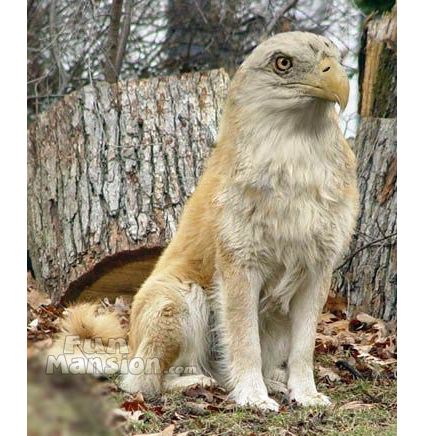 [�� �������]