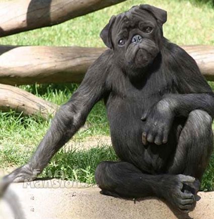 [�� �������]