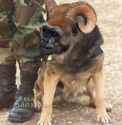 [�� �������]